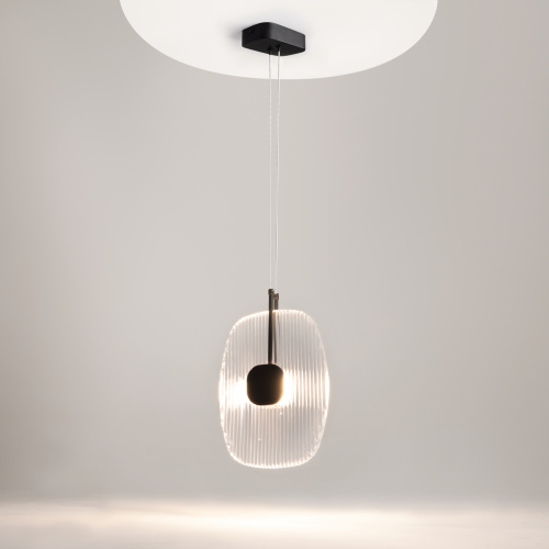 Подвесной светильник Maytoni MOD152PL-L1BK фото 9