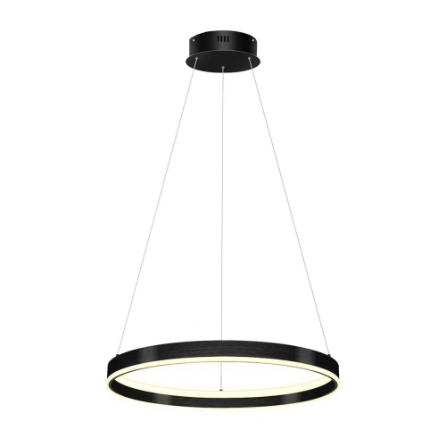 Подвесной светодиодный светильник Lightstar Rotonda 736407