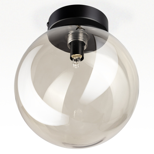 Citilux ORTON CL202511 Светильник Дымчатый фото 3 Citilux ORTON CL202511 Светильник Дымчатый фото 3