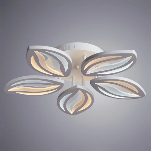 Потолочная люстра Arte Lamp DAISY A1098PL-5WH фото 2