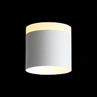 ST102.502.09 Светильник потолочный Белый LED 1*9W 3000K 702Lm Ra>80 120° IP20 D79xH75 170-240V Накладные светильники