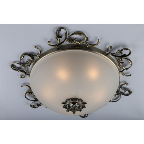 Люстра потолочная OML-76507-05 фото 3