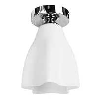 Потолочный светильник Arte Lamp CANZONE A3469PL-1CC