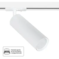 Трековый светильник Arte Lamp BEID A1515PL-1WH