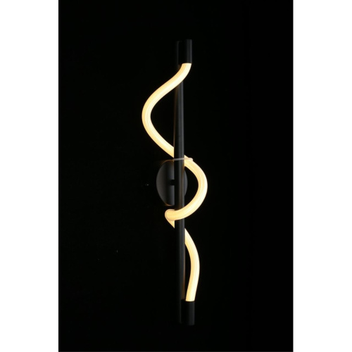 Светильник настенный (Бра) APL.773.01.20 фото 4