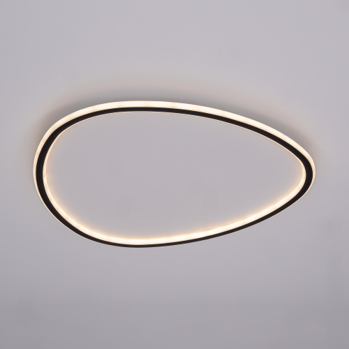 Citilux ТRIO CL215B261E LED RGB Люстра с пультом Чёрная фото 6 Citilux ТRIO CL215B261E LED RGB Люстра с пультом Чёрная фото 6