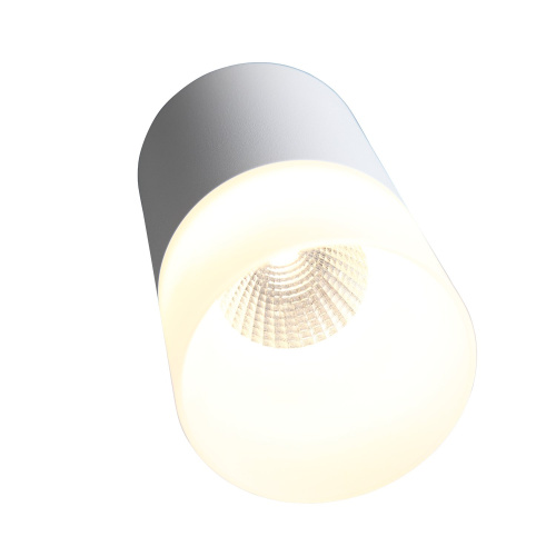 ST100.502.05 Светильник потолочный Белый LED 1*5W 3000K 390Lm Ra>80 120° D64xH110 170-240V Накладные светильники фото 2