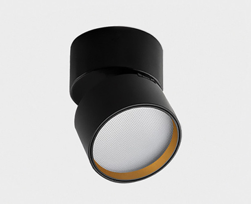 IT02-012 ring gold кольцо для светильника фото 3