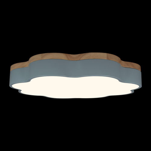 10225/36 Blue Потолочный светильник LOFT IT Axel фото 4