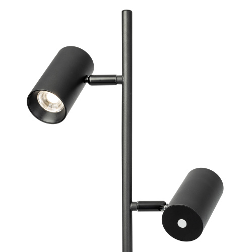 Citilux Twin CL809011N Торшер светодиодный Чёрный фото 5 Citilux Twin CL809011N Торшер светодиодный Чёрный фото 5