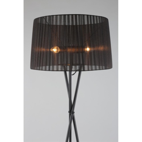 Торшер OML-62915-03 фото 5