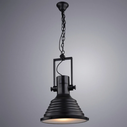 Подвесной светильник Arte Lamp DECCO A8021SP-1BK фото 2