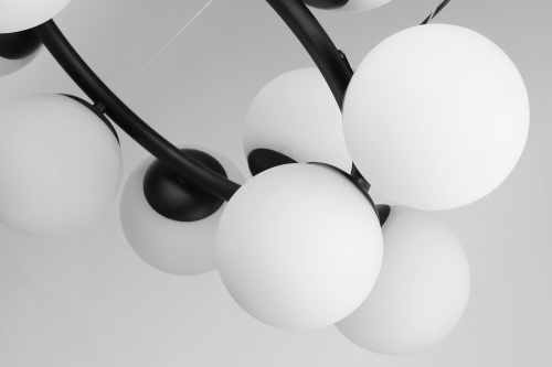 Подвесной светильник Lampit Fino TP 2002-12 BK фото 2