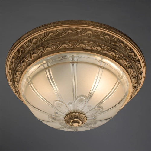 Потолочный светильник Arte Lamp PIATTI A8014PL-2WA фото 2 Потолочный светильник Arte Lamp PIATTI A8014PL-2WA фото 2