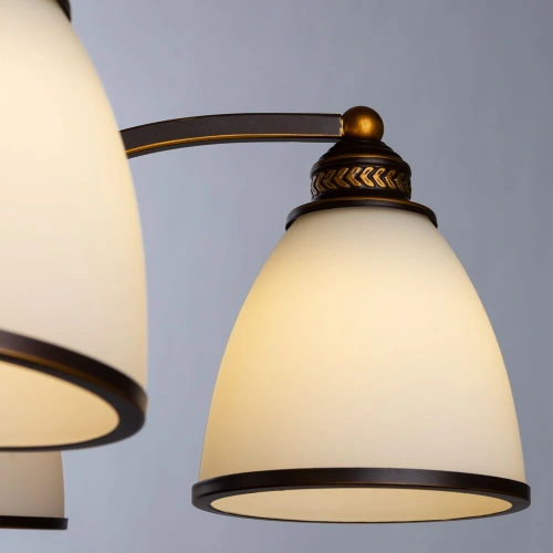 Подвесная люстра Arte Lamp BONITO A9518LM-5BA фото 3 Подвесная люстра Arte Lamp BONITO A9518LM-5BA фото 3