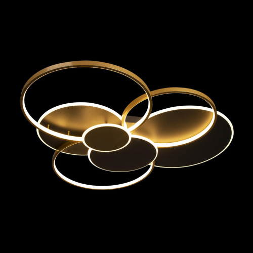 10163 Black Потолочный светильник LOFT IT Megan фото 6 10163 Black Потолочный светильник LOFT IT Megan фото 6