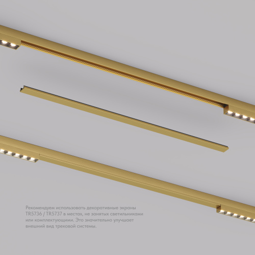 TR5737-SB Декоративная заглушка желоба трека, 50см, для трека Shine, серия Base, сатинированная латунь, алюминий фото 4 TR5737-SB Декоративная заглушка желоба трека, 50см, для трека Shine, серия Base, сатинированная латунь, алюминий фото 4