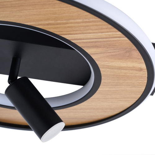 Потолочный светильник F-Promo Olika 4438-2C фото 4