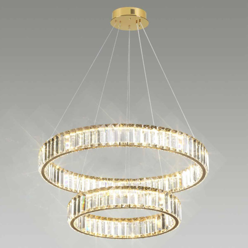 Подвесной светодиодный светильник Odeon Light Vekia 5015/60L фото 6