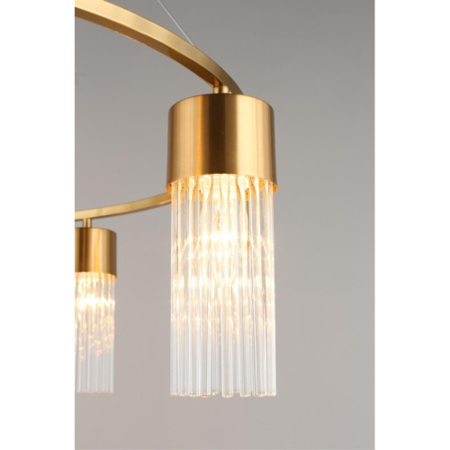 Люстра подвесная OML-67103-08 фото 7 Люстра подвесная OML-67103-08 фото 7