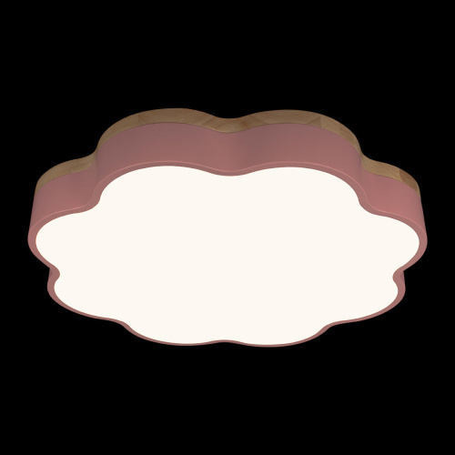 10225/36 Pink Потолочный светильник LOFT IT Axel фото 2