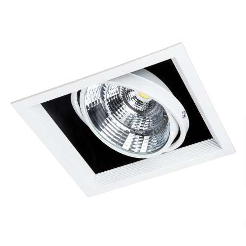 Карданный светильник Arte Lamp MERGA A8450PL-1WH фото 4