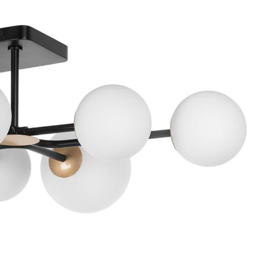 Потолочная люстра Lightstar Croco 815380 фото 2 Потолочная люстра Lightstar Croco 815380 фото 2