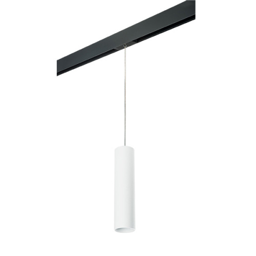 PRORP496 Светильник д/1-фазн трека RULLO HP16 (214496+595857) PRORP496 Светильник д/1-фазн трека RULLO HP16 (214496+595857)