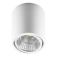 Светодиодный светильник Feron AL516 накладной 10W 4000K белый поворотный