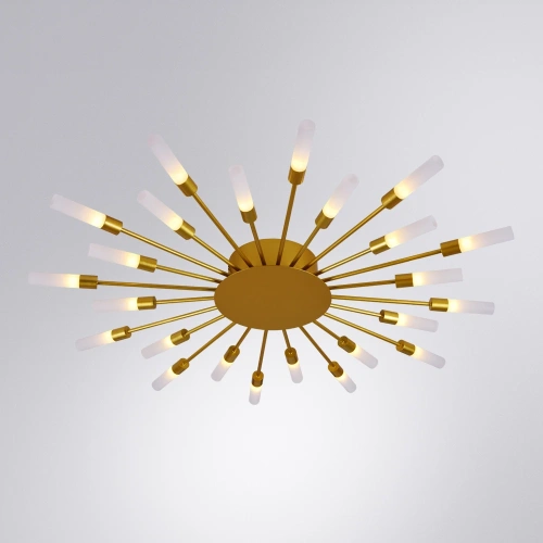 Потолочная люстра Arte Lamp MAPLE A1276PL-24GO фото 2 Потолочная люстра Arte Lamp MAPLE A1276PL-24GO фото 2