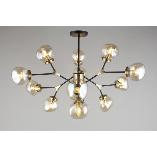 Люстра потолочная OML-95107-12 фото 10