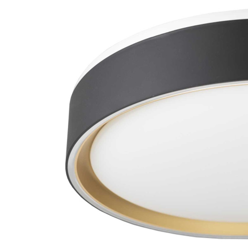 Потолочный светодиодный светильник Citilux Boss CL751251G фото 5