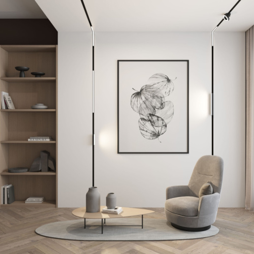 Светильник на шине Denkirs SMART LINEAR | СМАРТ ЛИНЕАР DK8004-BK фото 5 Светильник на шине Denkirs SMART LINEAR | СМАРТ ЛИНЕАР DK8004-BK фото 5