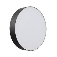 Настенно-потолочный светильник Sonex BASICA 7780/DLN