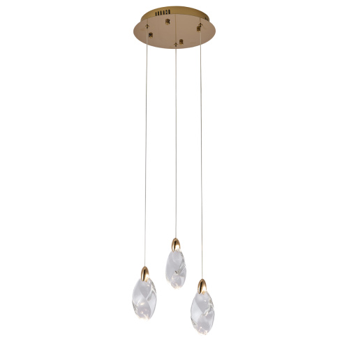 Подвесной светильник OD2439-3 gold/clear фото 2