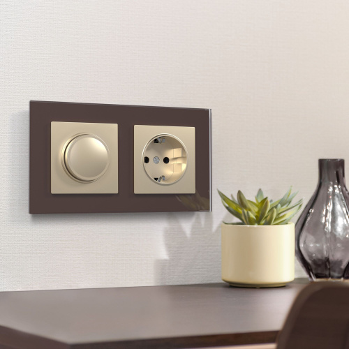 Диммер шампань W1142011 фото 2