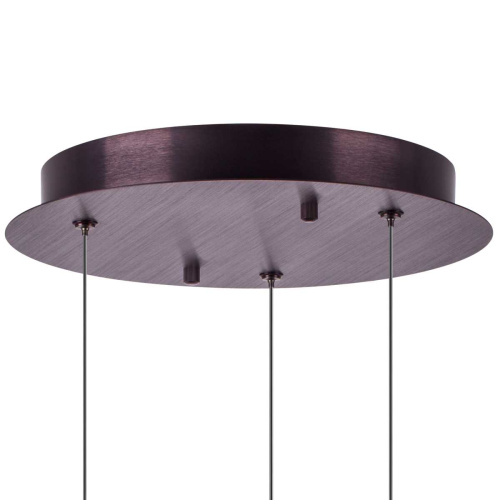 Люстра подвесная Caramello Lightstar 796139 фото 8