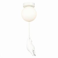 Потолочный светильник Evoluce MODENA SLE115402-01