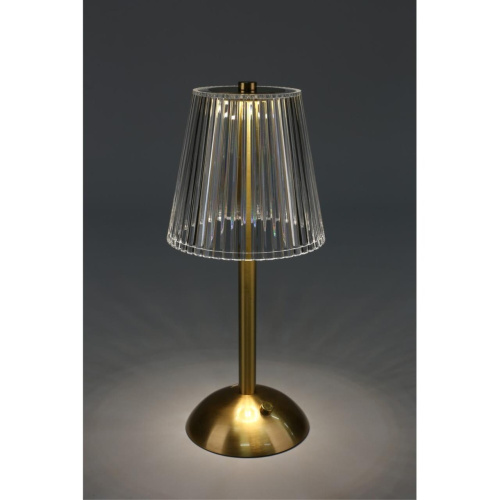 Настольная лампа OML-40004-01 фото 9