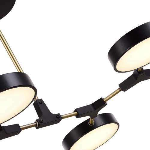 SLE6004-402-06 Светильник потолочный Черный, Латунь/Черный LED 6*10W MONTA фото 3