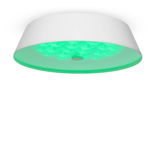 Потолочный светильник Freya FR10013CL-L24W фото 3