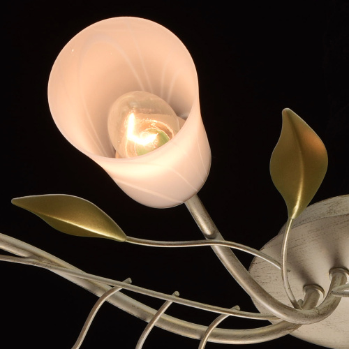 Люстра потолочная MW-Light Восторг 242015306 фото 7