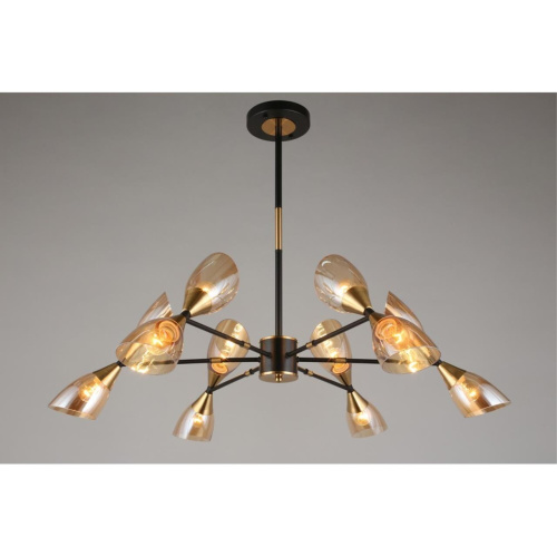 Люстра потолочная OML-66807-12 фото 9