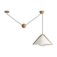 Потолочный светильник Freya Modern FR5554CL-01T