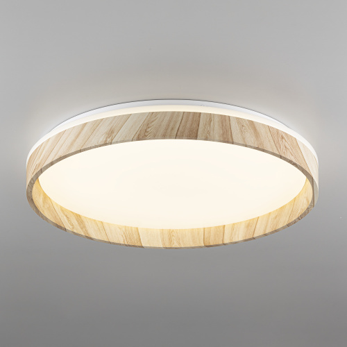 Citilux ENZO CL753452G LED RGB Светильник с пультом Клён фото 3 Citilux ENZO CL753452G LED RGB Светильник с пультом Клён фото 3