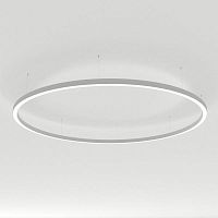 Подвесной светодиодный светильник Arlight SP-Line-Hang-Arc-O3535-D1500-124W Day4000 034013(2)