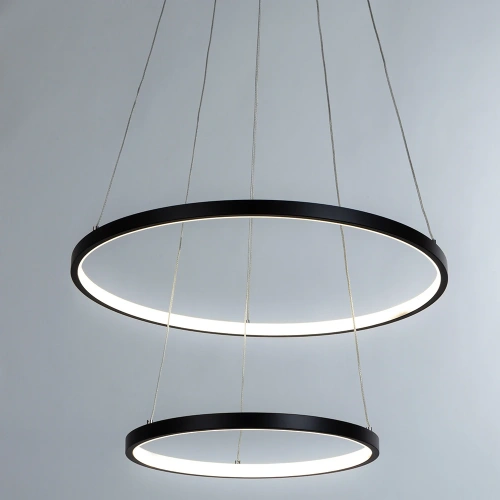 Подвесная люстра Arte Lamp FRODO A2197SP-2BK фото 2