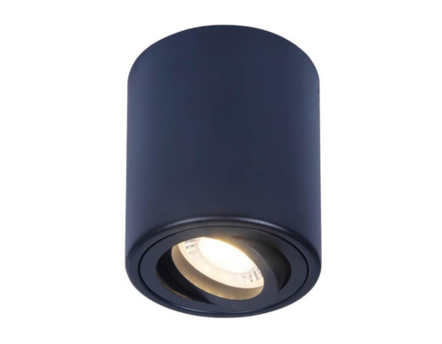 Потолочный светильник Ambrella light Techno Spot TN226 Потолочный светильник Ambrella light Techno Spot TN226
