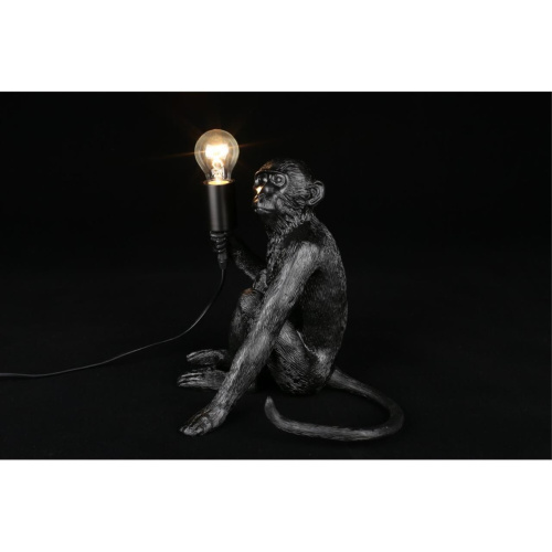 Настольная лампа APL.309.24.01 фото 10 Настольная лампа APL.309.24.01 фото 10