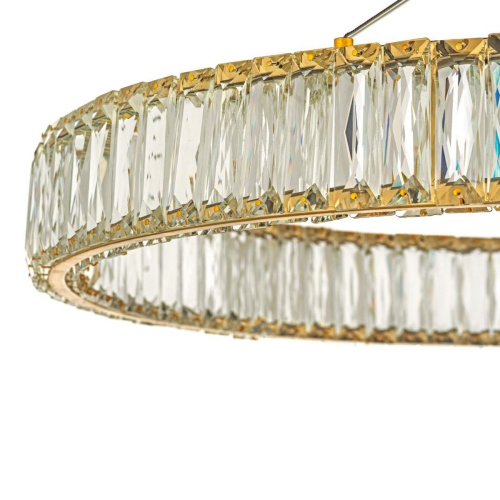 Подвесной светодиодный светильник Dio DArte Elite Caneva L 1.5.60.100 G фото 2